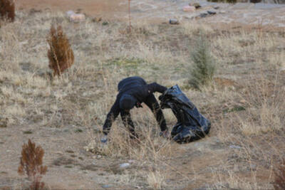  پاکسازی اتوبان به جای زندان برای متخلف محیط زیست