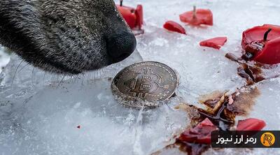  کابوس تکرار تاریخ؛ آیا بیت‌ کوین دوباره ۷۵ درصد از ارزشش را از دست می‌دهد؟