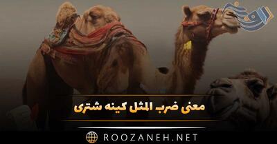  معنی ضرب المثل کینه شتری / مفهوم کاربردی و انشا