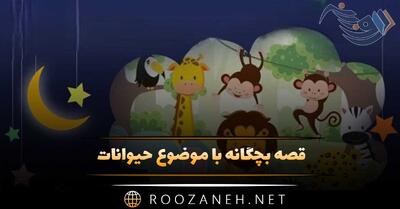  قصه بچگانه با موضوع حیوانات؛ ۸ داستان کودکانه آموزنده حیوانات جنگل