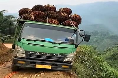  معماری طبیعت؛ خاور پاشو از گلیمش درازتر کرد