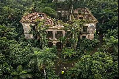  معماری خلاقانه؛ خونه که چه عرض کنم خرابه رو بازسازی کردن برگ ریزون شد در حد لالیگا