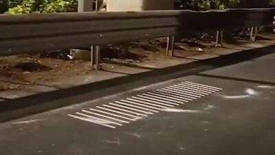  جاده موزیکال در هند افتتاح شده است