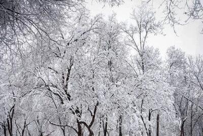  برف و باران شدید در ۲۰ استان از فردا