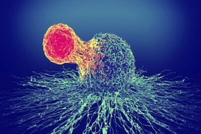  هر ۵ دقیقه، ابتلای یک ایرانی به سرطان؛ چه کسی پاسخگوست؟