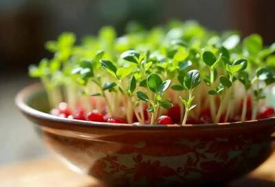  اگر برای عید سبزه ی متفاوت میخوای ببین