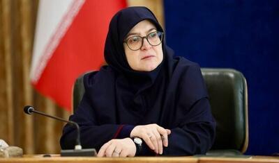  توضیح سخنگوی دولت درباره اقدامات کمیته حقیقت‌یاب حوادث دی‌ماه