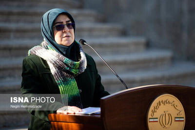  توضیحات سخنگوی دولت درباره اقدامات کمیته حقیقت‌یاب حوادث دی‌ماه/ آیا گزارش به صورت عمومی منتشر می شود؟