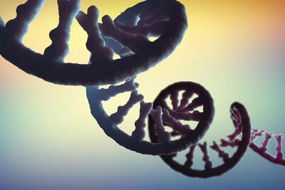  RNA؛ کلید «ماده تاریک» ژنوم