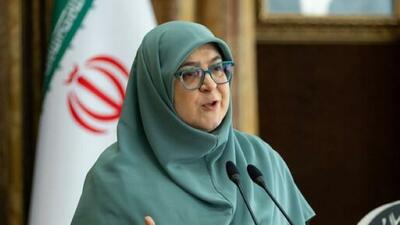  توضیح سخنگوی دولت درباره اقدامات کمیته حقیقت‌یاب حوادث دی‌ماه