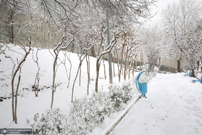  بارش باران، برف و کاهش دما در راه است