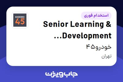  استخدام Senior Learning   Development Specialist در خودرو45