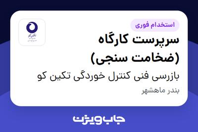  استخدام سرپرست کارگاه (ضخامت سنجی) - آقا در بازرسی فنی کنترل خوردگی تکین کو
