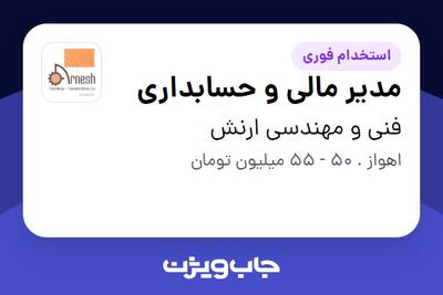  استخدام مدیر مالی و حسابداری - خانم در فنی و مهندسی ارنش