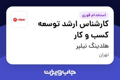  استخدام کارشناس ارشد توسعه کسب و کار در هلدینگ نیلپر