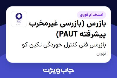  استخدام بازرس (بازرسی غیرمخرب پیشرفته PAUT) - آقا در بازرسی فنی کنترل خوردگی تکین کو