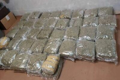  کشف ۷۴ کیلو گل در آستارا