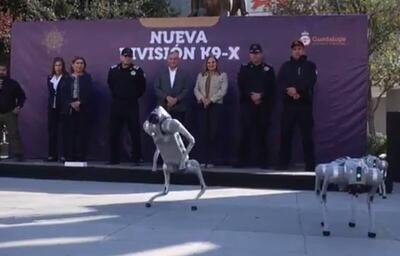  فیلم/ سگ‌های رباتیک در جام جهانی به خدمت گرفته می‌شوند