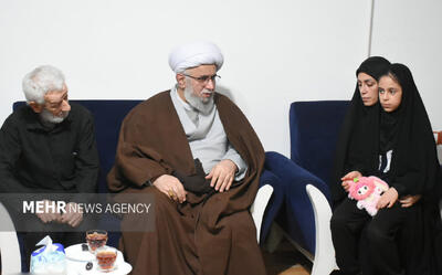  آیت‌الله رمضانی: شهدای مدافع امنیت مظلومانه پای آرامش مردم ایستادند