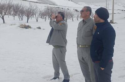  زندی: سرشماری زمستانه حیات وحش کردستان با موفقیت انجام شد