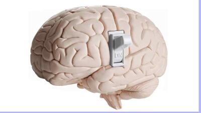  میگنا - راز فیلترهای مغز  و شناسایی ابعاد آن