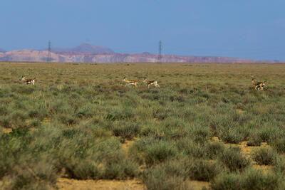  همه در کنار هم برای حفاظت