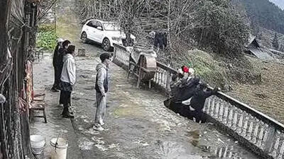  سقوط ناگهانی سه نفر با ریزش تراس در یک باغ در چین + فیلم