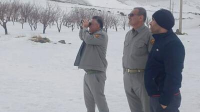  پایان سرشماری زمستانه حیات وحش کردستان
