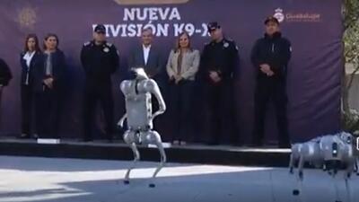  سگ‌های رباتیک در جام جهانی به خدمت گرفته می‌شوند