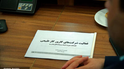  اقدام هوشمندانه دولت برای رونق تولید