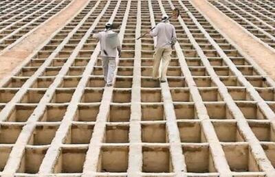  بحران کمبود زمین برای دفن اموات در اهواز