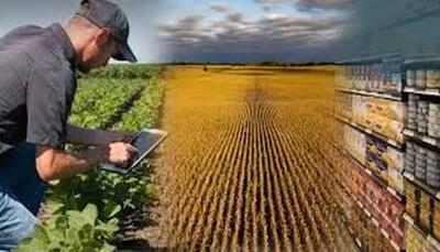  از مزرعه تا سفره؛ بررسی عوامل و راه‌حل‌های کاهش هدررفت غذا