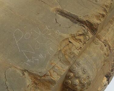  یادگارنویسی تازه در تخت جمشید؛ وندال‌ها چگونه به دروازه ملل رسیدند؟