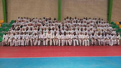  استاژ داوری و فنی سبک کیوکوشین کاراته ایچی گکی با حضور سید داود محمدی در رودان برگزار شد  