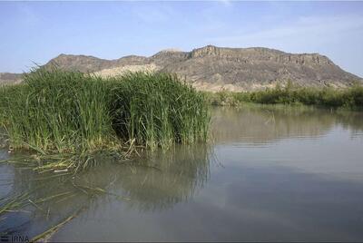  اولویت دولت: احیای هامون بر اساس قرارداد ۱۳۵۱؛ تخصیص ۱۱ میلیارد مترمکعب حقابه زیست‌محیطی در برنامه هفتم