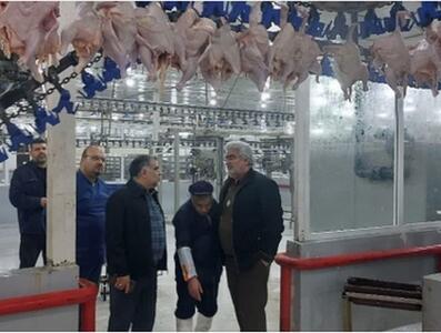  انعقاد قرارداد با ۶ کشتارگاه صنعتی برای تنظیم بازار مرغ در خوزستان