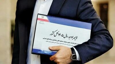  مالیات بر ارزش افزوده در بودجه ۱۴۰۵ چالش تامین منابع پایدار و کنترل فشار تورمی