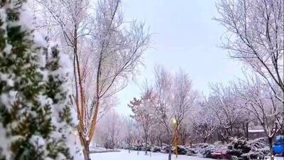  پیش‌بینی بارش برف و باران با ورود سامانه بارشی جدید