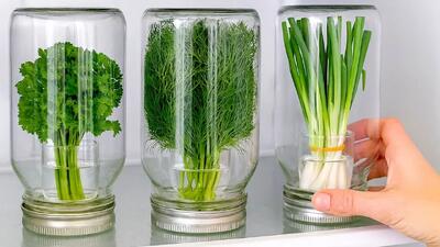  دیگه سبزی رو توی یخچال نزار چون یه روش واسه تازه موندنش پیدا کردم