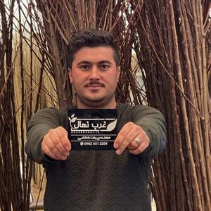  فروش نهال صنوبر یکساله یارانه‌ای از جهاد کشاورزی با قیمت ۷ هزار تومان با ظرفیت محدود