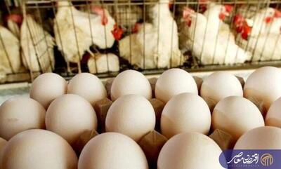  قیمت جدید تخم‌مرغ در آستانه ماه رمضان