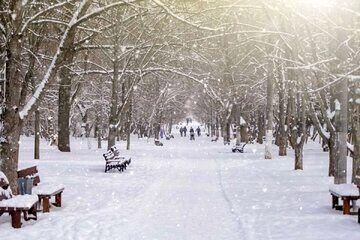  برف و باران در راه 8 استان کشور/ هشدار نارنجی صادر شد