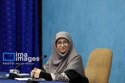  رایزنی برای تامین حقابه هامون