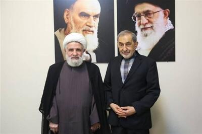  نعیم قاسم به دکتر ولایتی: مقاومت هدف دشمن را ناکام گذاشت