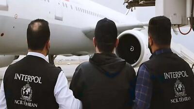  شکار ۲۰۰ میلیون دلاری اینترپل