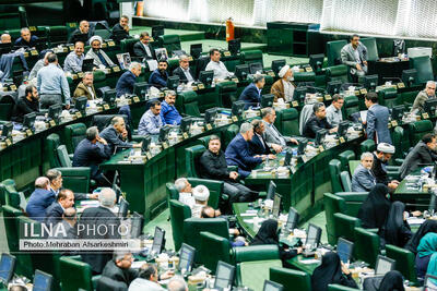  مصوبه مجلس برای کنترل گرانی کالا در کشور؛ حقوق ورودی کالاها ثابت ماند