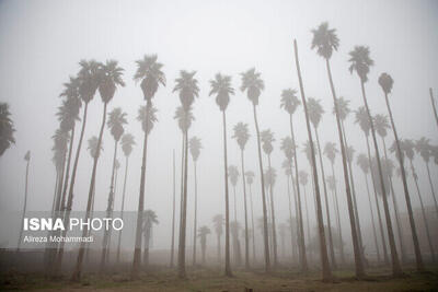  مه، خوزستان را فرا می‌گیرد