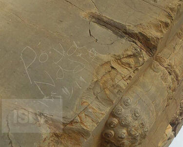  یادگارنویسی تازه در تخت جمشید؛ تخریب‌گران چگونه به دروازه ملل رسیدند؟