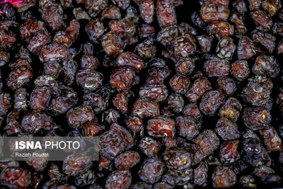  نقش خرما در بهبود عملکرد سیستم گوارشی