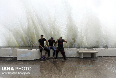  معاون هواشناسی بوشهر: دریا مواج می‌شود